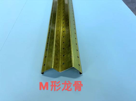 M形龙骨