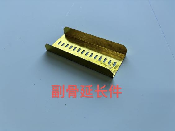 副骨延长件